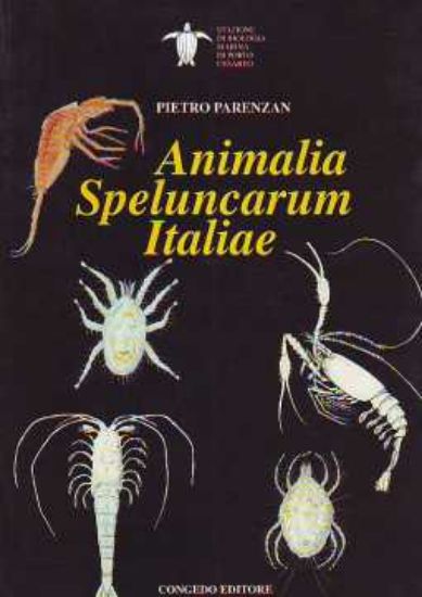 Immagine di Animalia Speluncarum Italiae. Gli animali delle grotte e caverne italiane